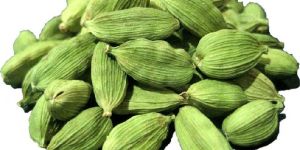 Cardamom