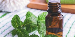 Peppermint Oil