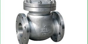 Stainless Steel Check Valves