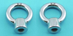 Stainless Steel Lifting Eye Nut