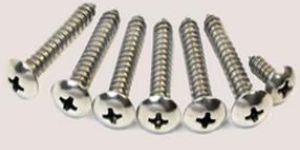 Stainless Steel Screw