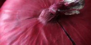 Red Onion
