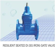 Resilient Seated Di Gate Valve
