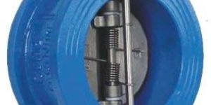 Dual Plate Check Valve