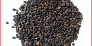 Black Pepper