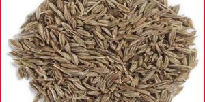 Cumin Seed