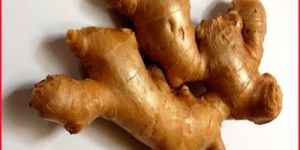 Dry Ginger