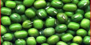 Green Moong Beans