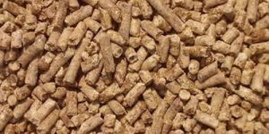 Cattle Feed