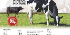 AM-MIN Mineral Mixture