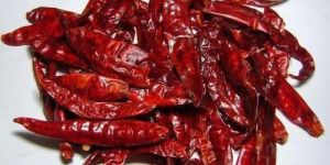 Dry Red Chilli