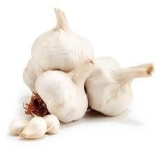 Fresh Garlic