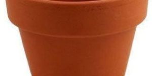 Cement Flower Pot