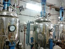 Industrial Fermenter