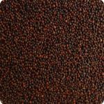 Mustard Seeds Small