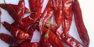 334 Dried Red Chilli with Stem