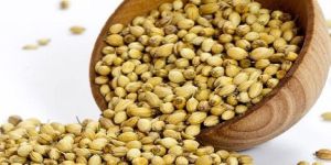 Coriander Seeds