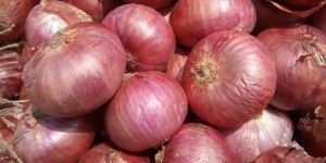 Fresh Onions