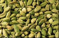 Cardamom