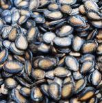 Watermelon Seeds