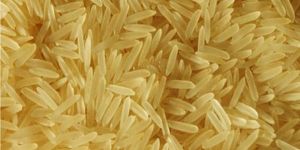 Golden Basmati Rice