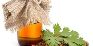 Coriander Oil