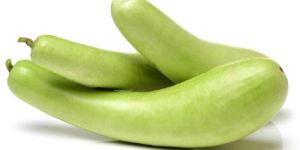 Fresh Bottle Gourd