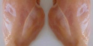 Frozen Chicken Breast