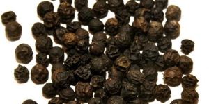 Black Pepper Seeds