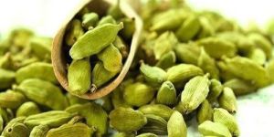 Green Cardamom