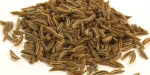 Cumin Seed