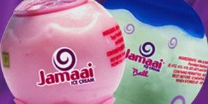 Mini Ball Vanilla Ice Cream