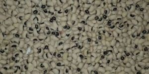 Black Eyed Beans