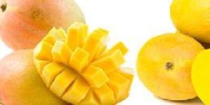 Indian Mango