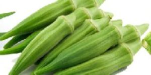 Okra