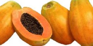Papaya