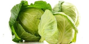 Cabbage