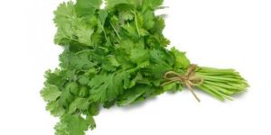 Coriander Leaves