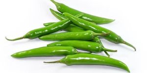 Green Chillies