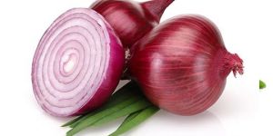 Onion