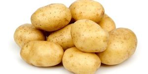 Potato