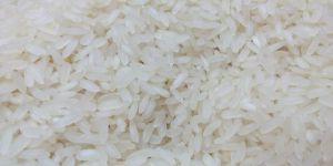 1121 White Sella Rice