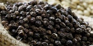 Black Pepper