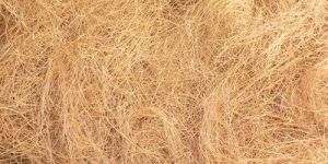 Coir Fiber