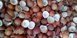 Copra Coconut