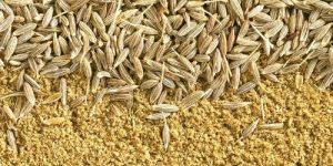 Cumin Seeds