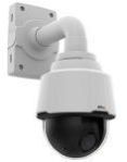 IP Cameras