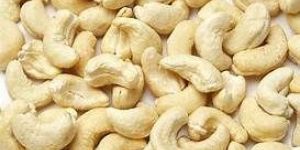 Cashew Nut