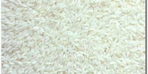BPT Rice