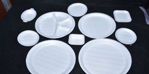 Disposable Food Container